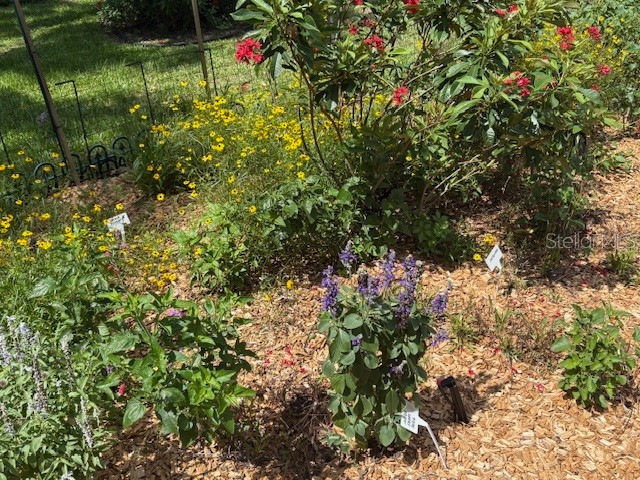 7604 Weeping Willow Circle Sarasota FL 34241 A4679213 image71