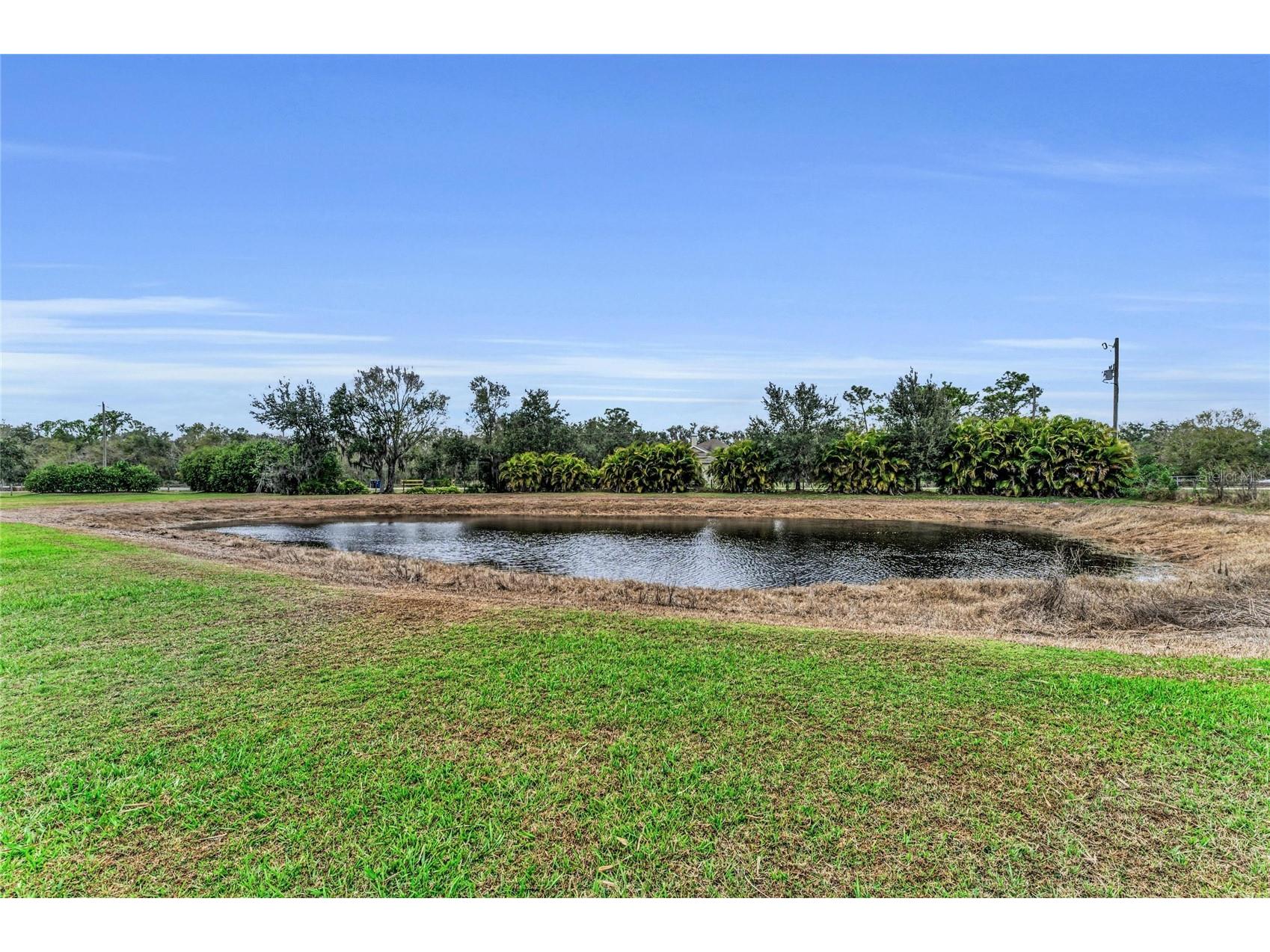 7605 257th Street E Myakka City FL 34251 A4678681 image65