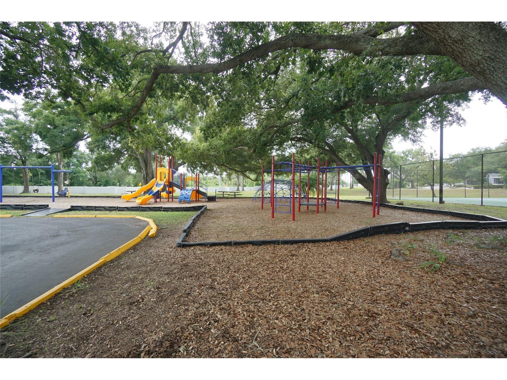 7605 Glades Court Tampa FL 33637 TB8526393 image24