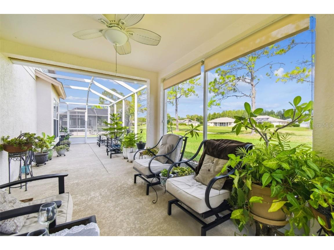 7605 Kinnow Court Land O Lakes FL 34637 W7877743 image39