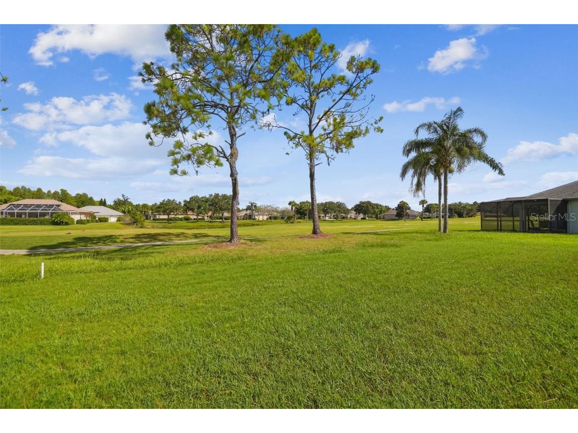 7605 Kinnow Court Land O Lakes FL 34637 W7877743 image42