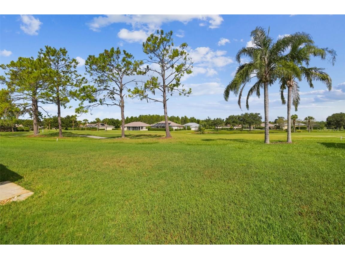 7605 Kinnow Court Land O Lakes FL 34637 W7877743 image43