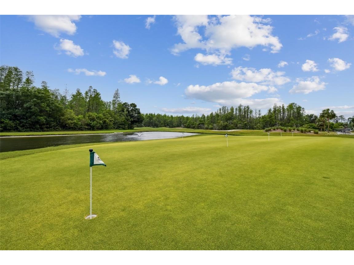 7605 Kinnow Court Land O Lakes FL 34637 W7877743 image64