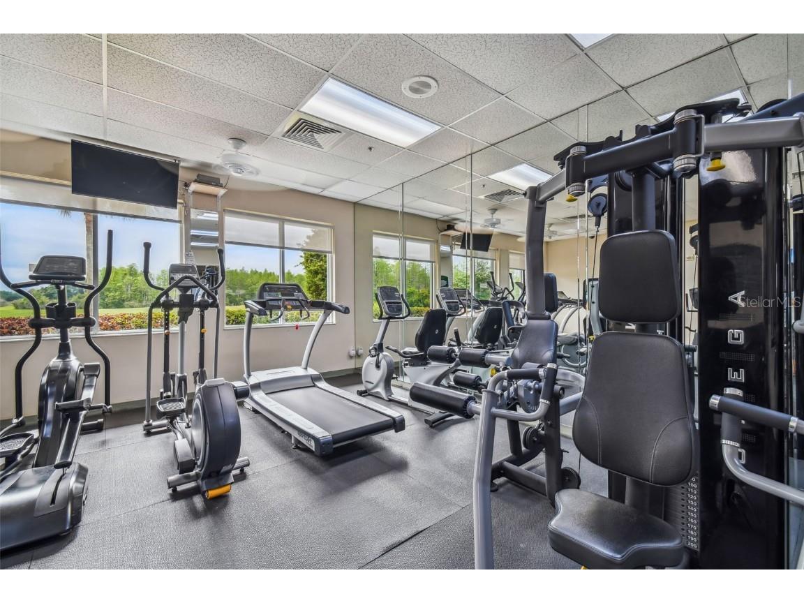 7605 Kinnow Court Land O Lakes FL 34637 W7877743 image67