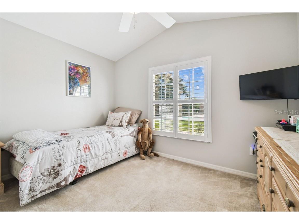 7605 Kinnow Court Land O Lakes FL 34637 W7877743 image8