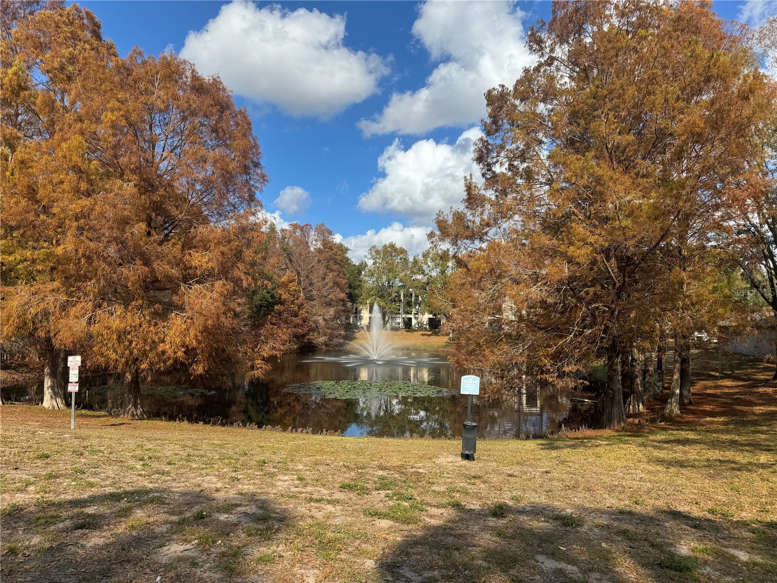 7605 Pissarro Drive #13108 Orlando FL 32819 O6371609 image10