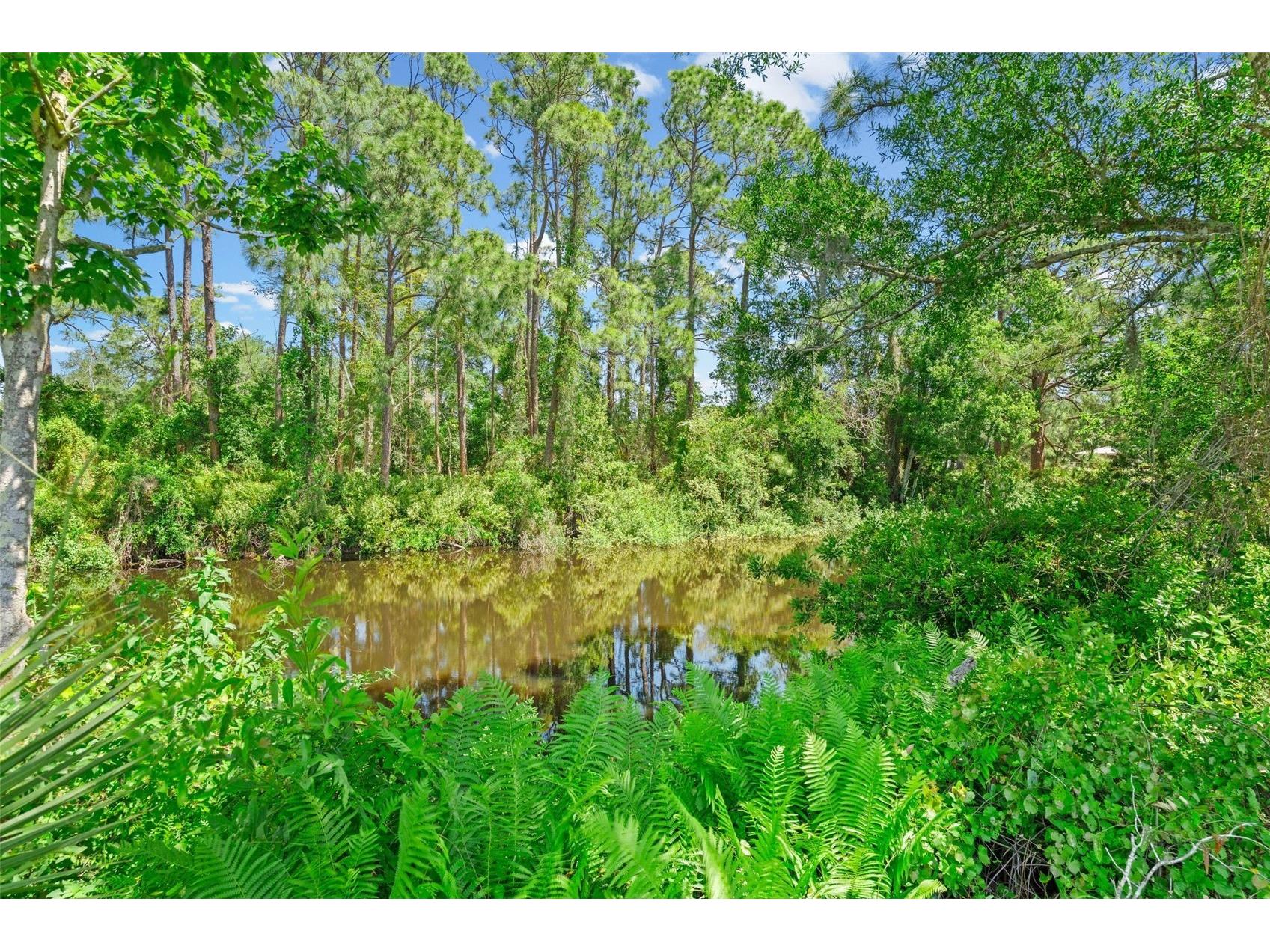 7605 Richardson Road Sarasota FL 34240 A4690788 image56