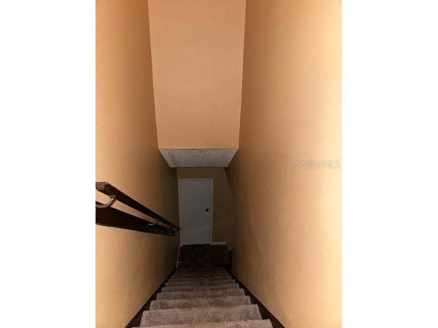 7605 W Deleon Court Tampa FL 33615 TB8386572 image15