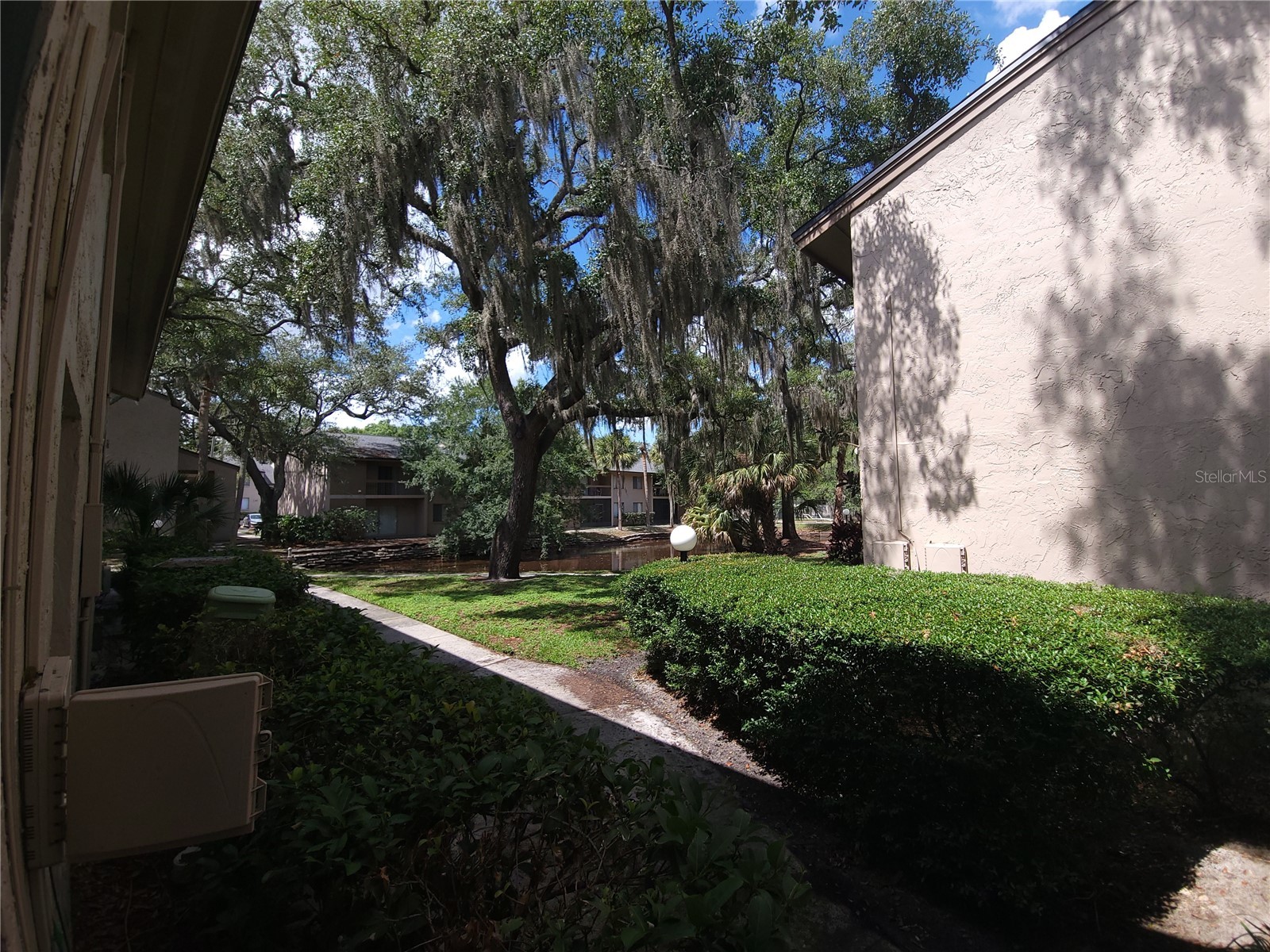 7606 Abbey Lane #208 Tampa FL 33617 TB8511853 image14