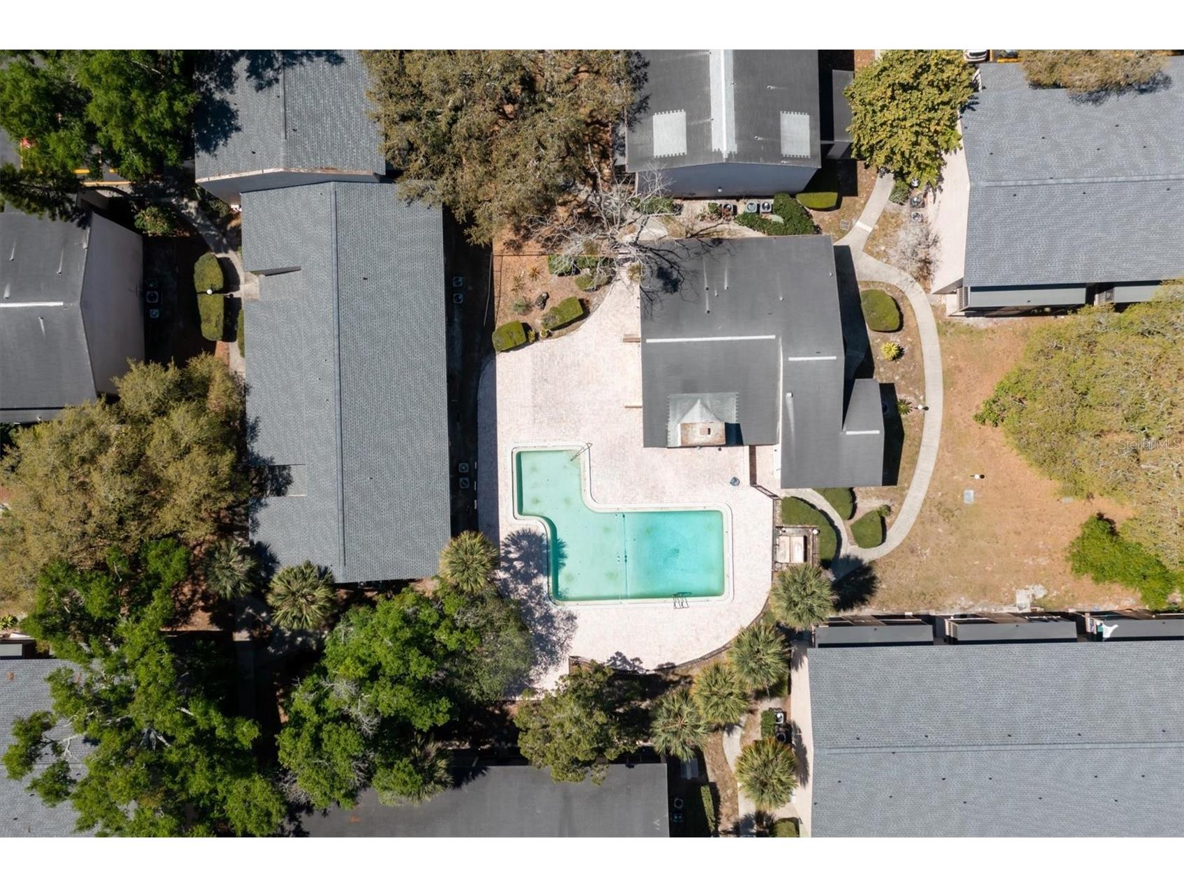7606 Abbey Lane #208 Tampa FL 33617 TB8511853 image4