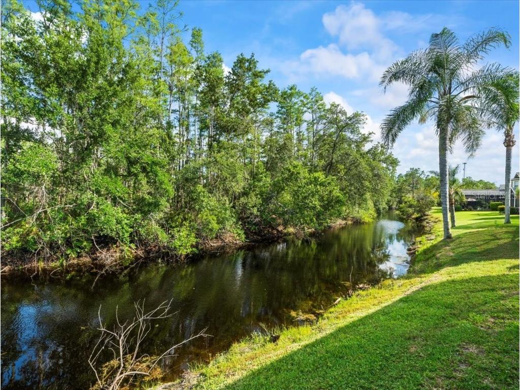 7606 Berna Lane Land O Lakes FL 34637 TB8397022 image44