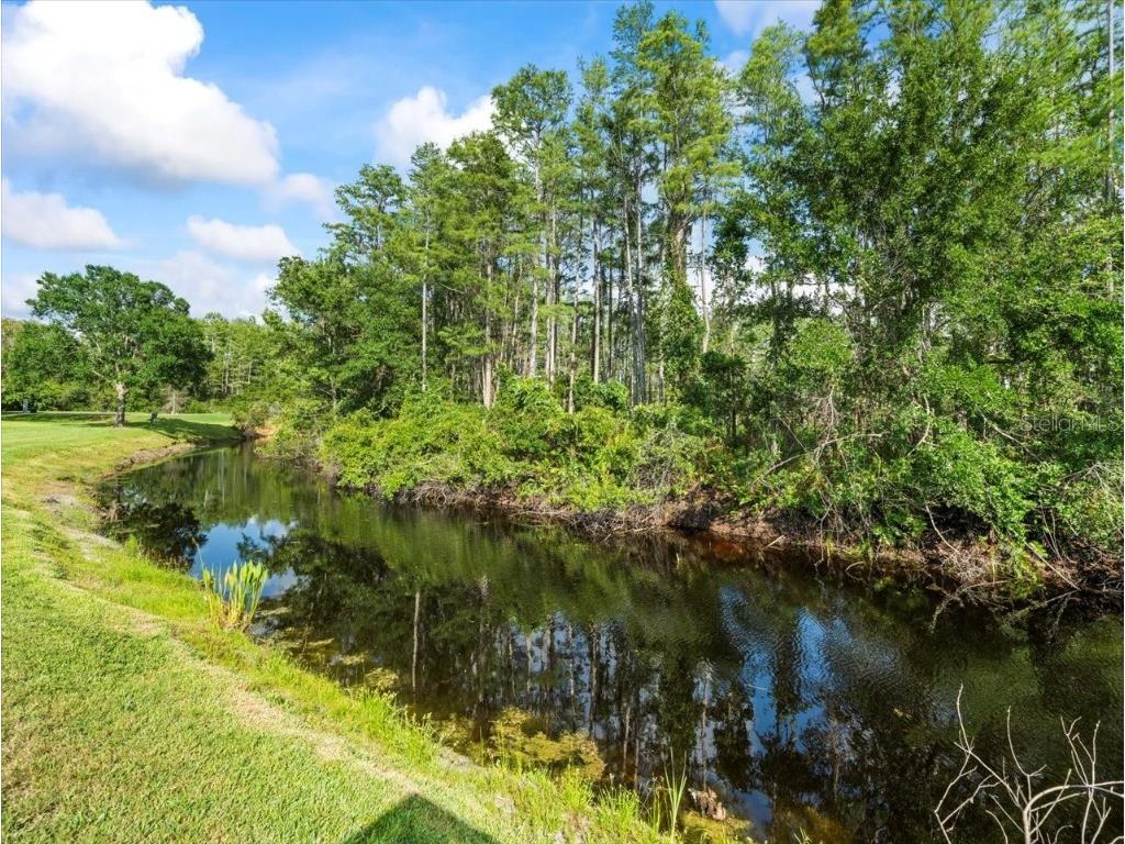 7606 Berna Lane Land O Lakes FL 34637 TB8397022 image45