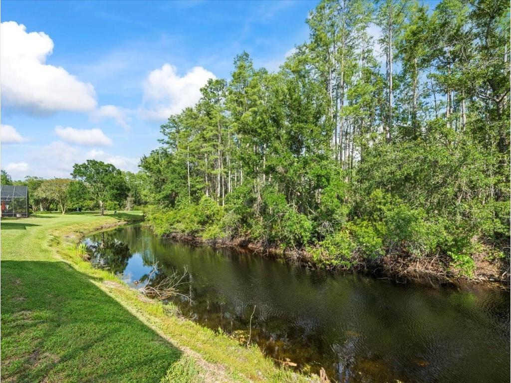 7606 Berna Lane Land O Lakes FL 34637 TB8397022 image46