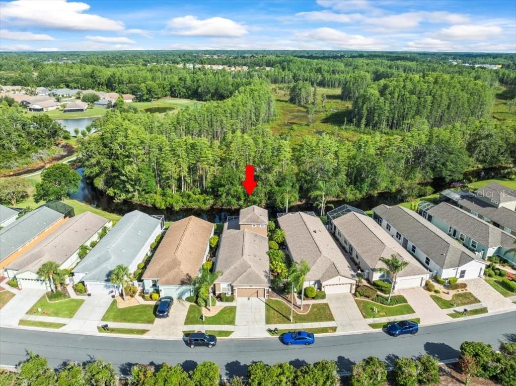 7606 Berna Lane Land O Lakes FL 34637 TB8397022 image50