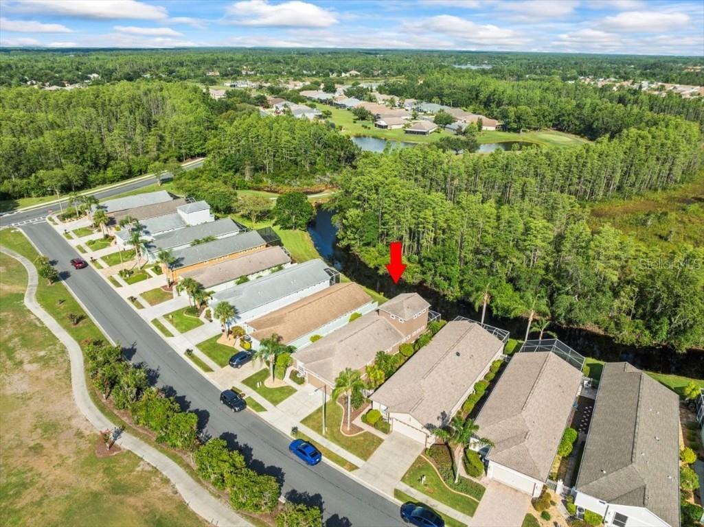 7606 Berna Lane Land O Lakes FL 34637 TB8397022 image52