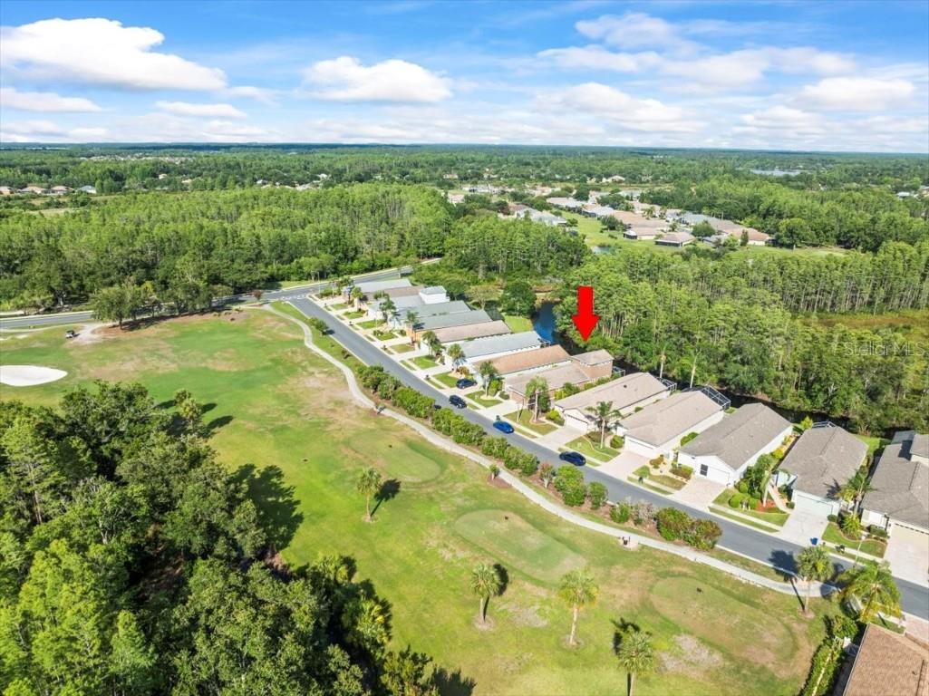 7606 Berna Lane Land O Lakes FL 34637 TB8397022 image53