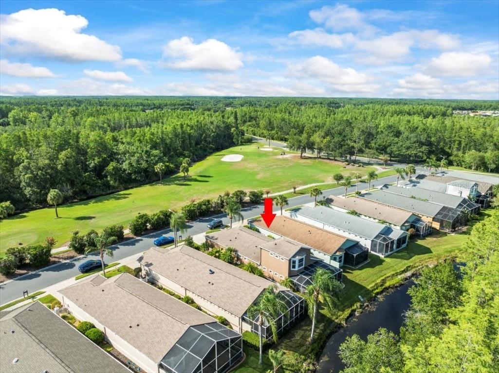 7606 Berna Lane Land O Lakes FL 34637 TB8397022 image54