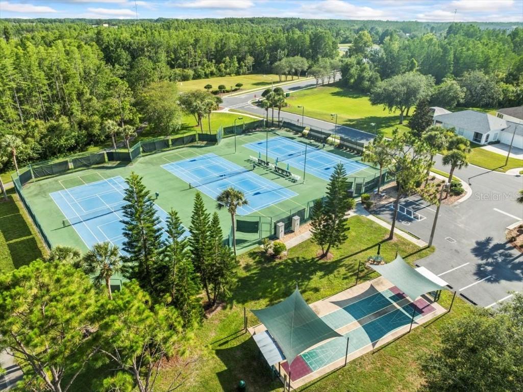 7606 Berna Lane Land O Lakes FL 34637 TB8397022 image57