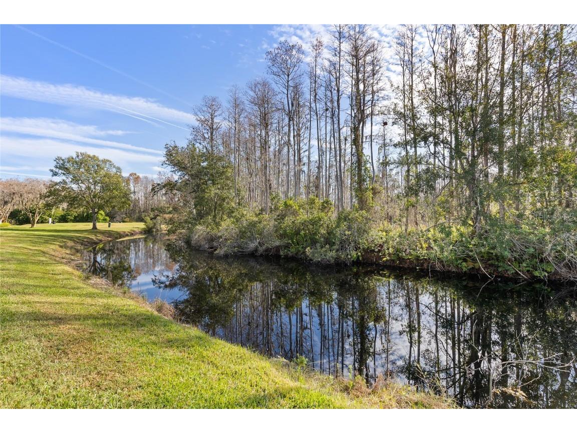 7606 Berna Lane Land O Lakes FL 34637 W7881710 image22