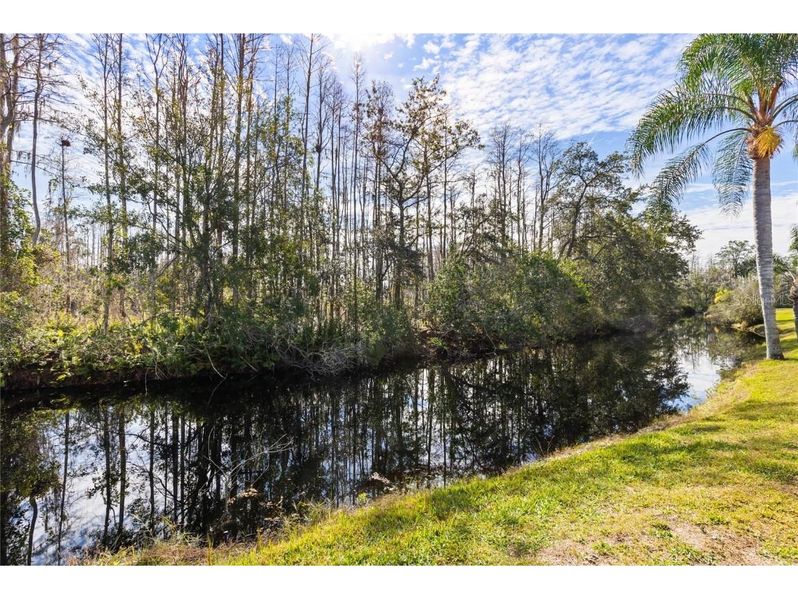 7606 Berna Lane Land O Lakes FL 34637 W7881710 image23
