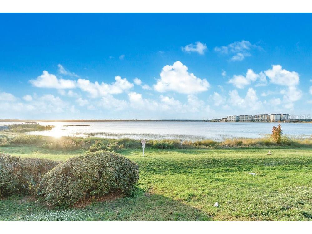 7606 Pissarro Drive #14305 Orlando FL 32819 O6368260 image33