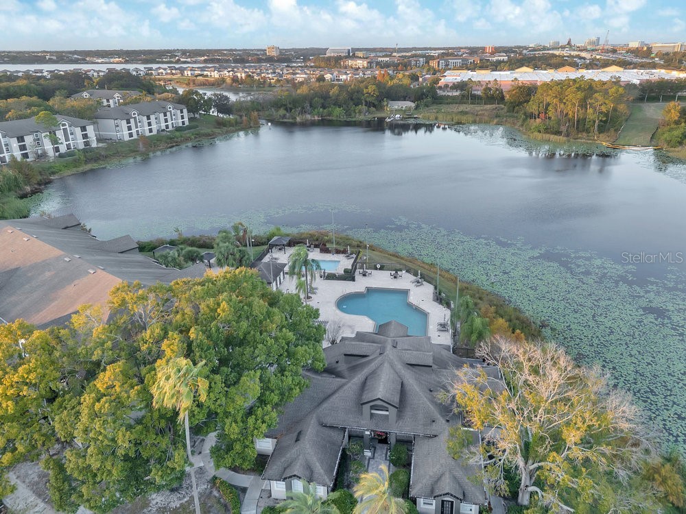 7606 Pissarro Drive #14305 Orlando FL 32819 O6368260 image49