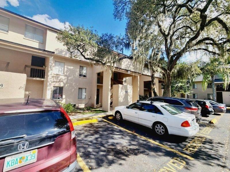 7607 Abbey Lane #C Tampa FL 33617 T3484099 image1