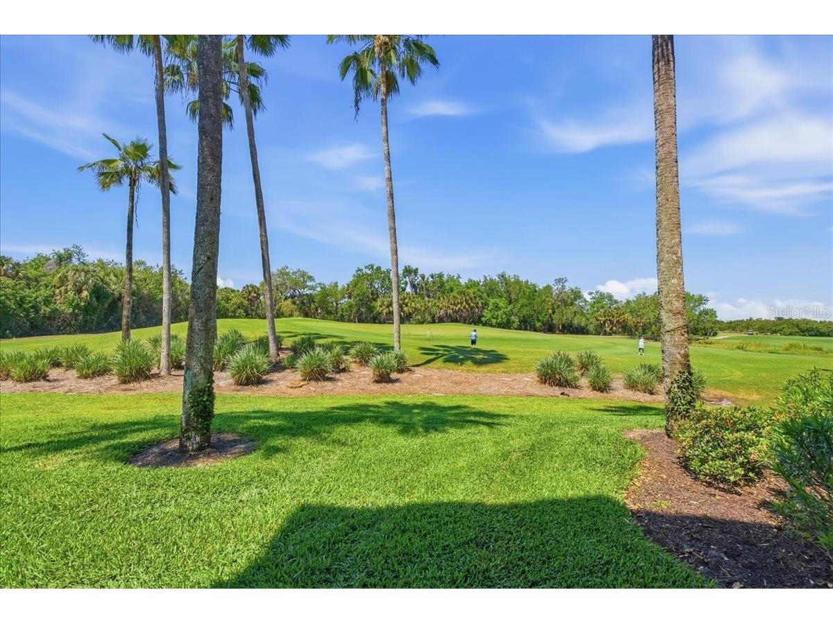 7607 Grand Estuary Trail #101 Bradenton FL 34212 A4688665 image37