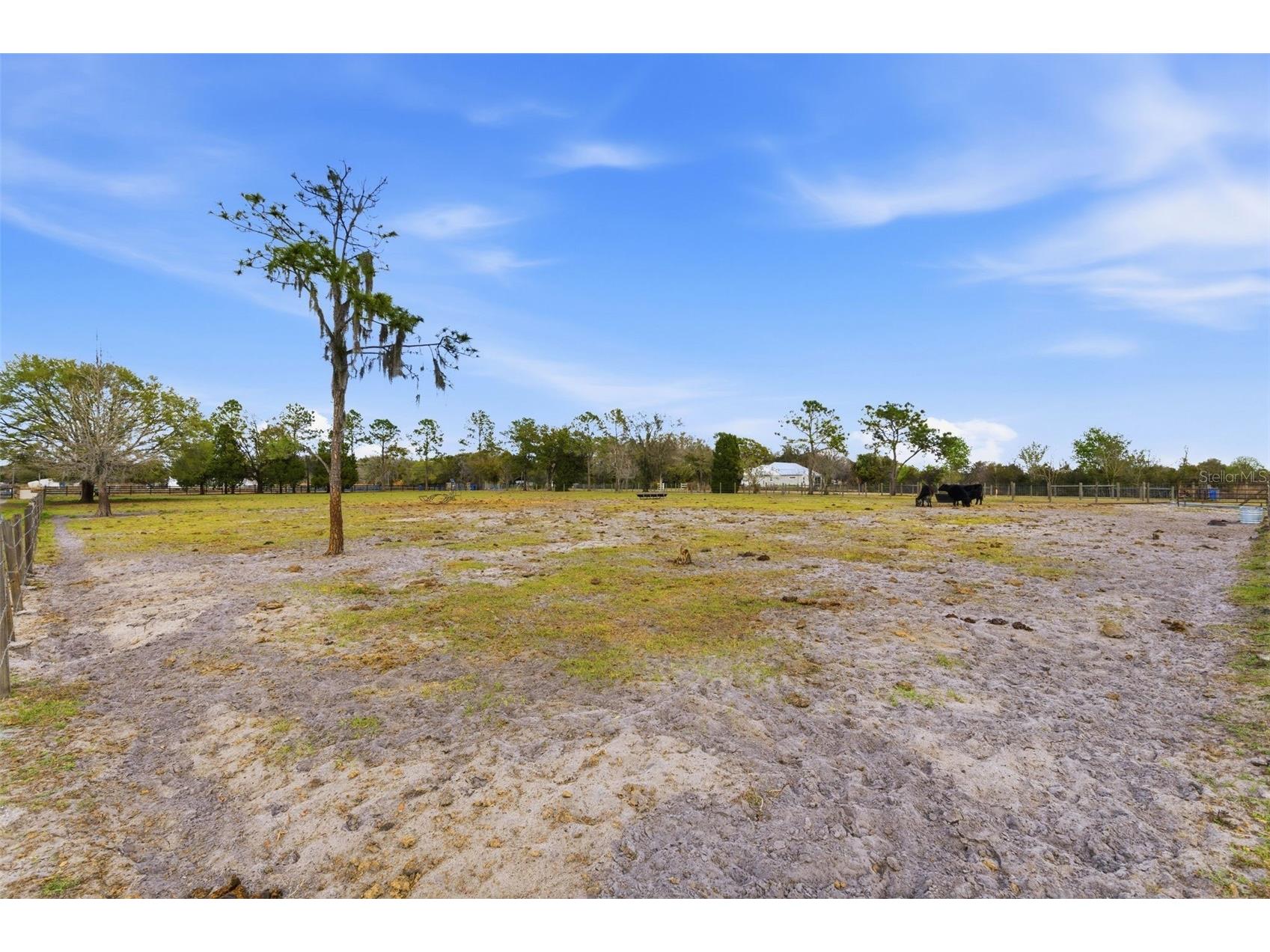 7607 Kinard Rd Plant City FL 33565 TB8483339 image38