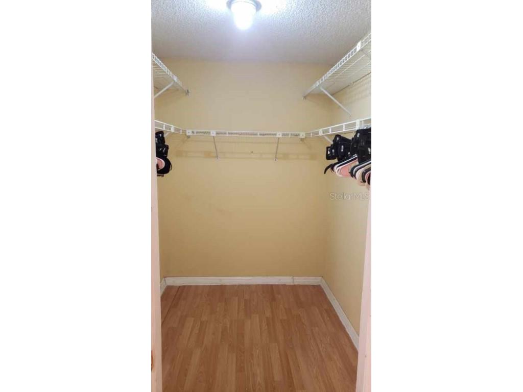 7607 Tall Tree Court Port Richey FL 34668 TB8455006 image24