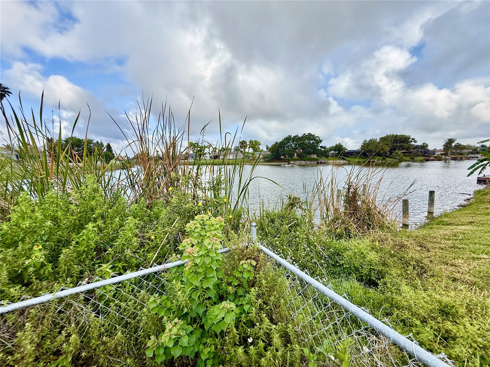 7607 Vienna Lane Port Richey FL 34668 - LAKE CHRISTINA W7885631 image35