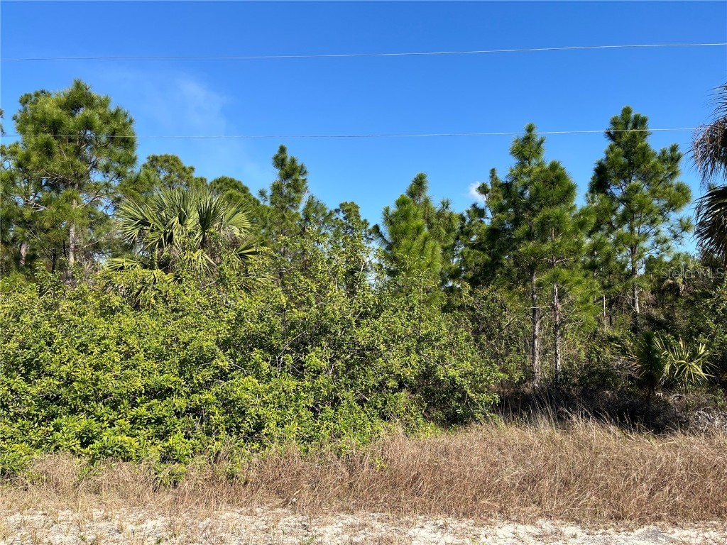 7608 9th Place Labelle FL 33935 OK224893 image1