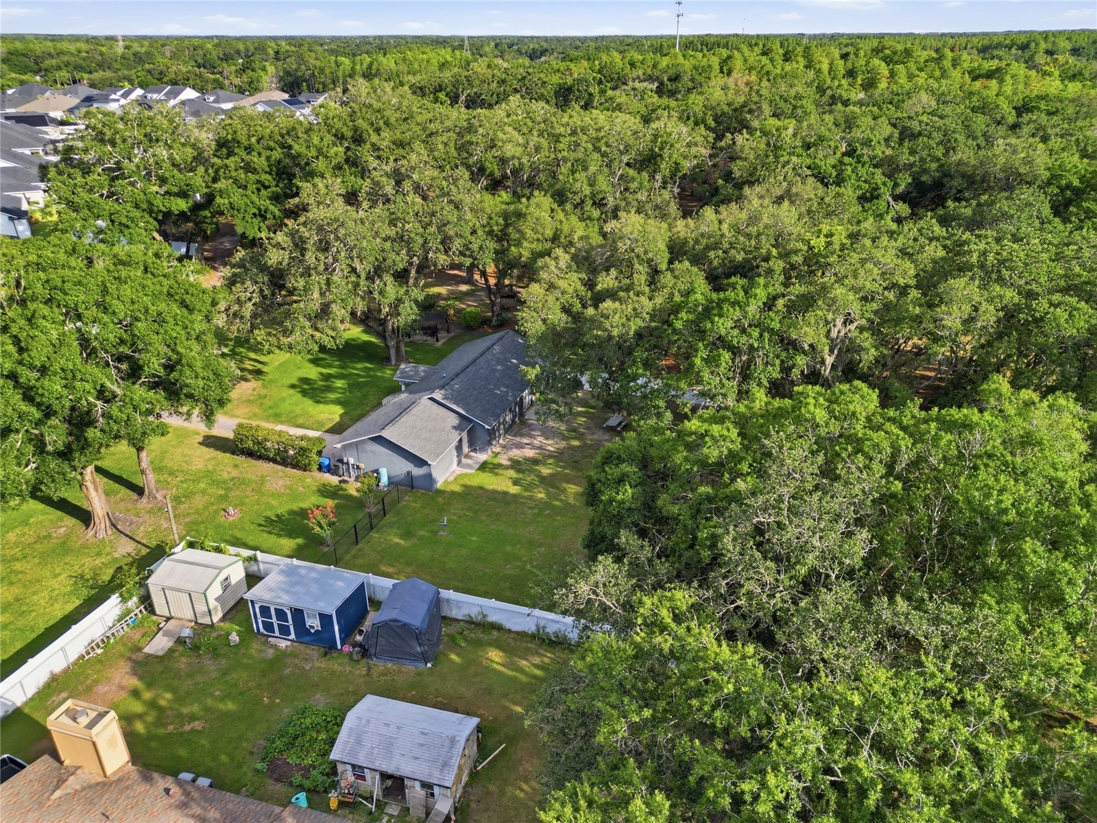 7608 Copeland Road Odessa FL 33556 TB8518955 image46