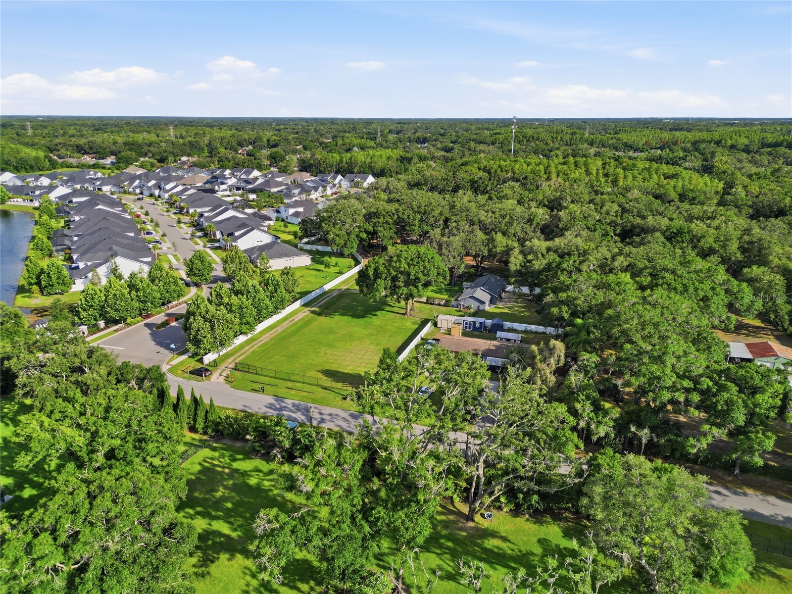 7608 Copeland Road Odessa FL 33556 TB8518955 image6