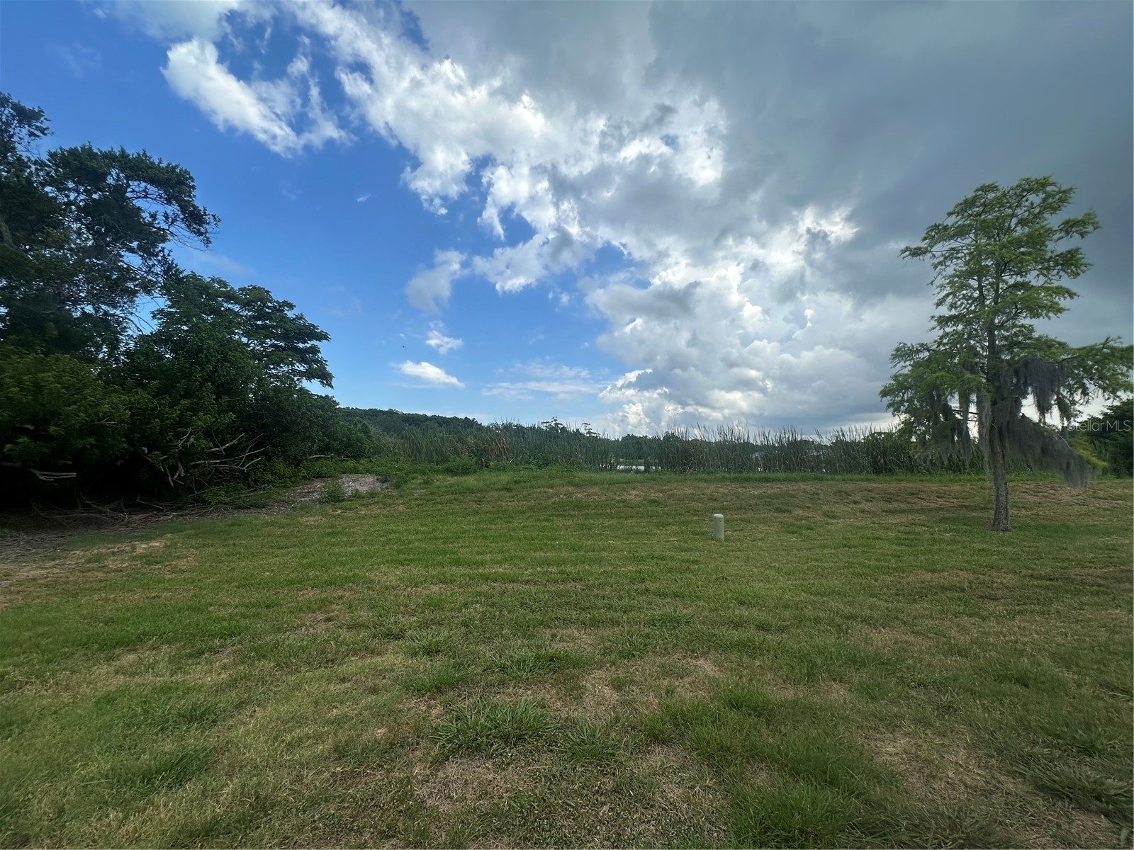 7608 Danube Drive #7608 Hudson FL 34667 W7886667 image20