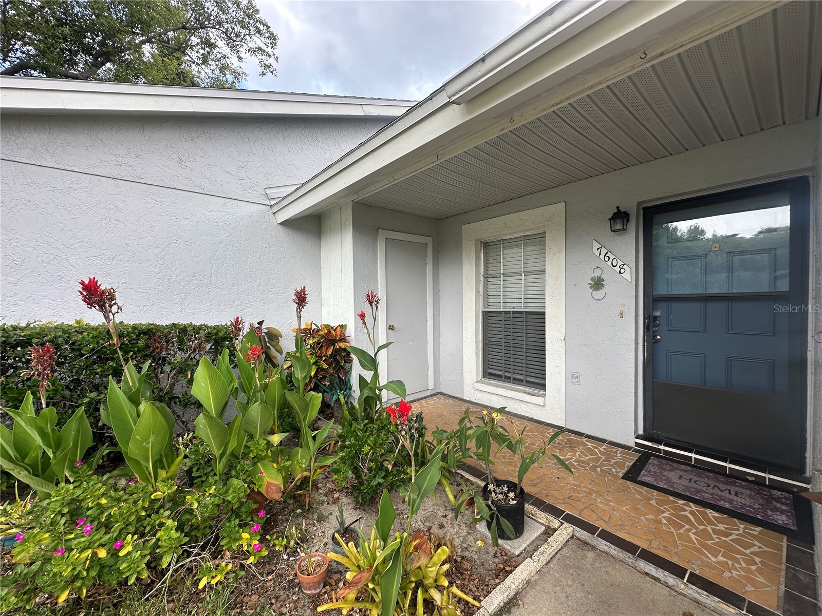 7608 Danube Drive #7608 Hudson FL 34667 W7886667 image3