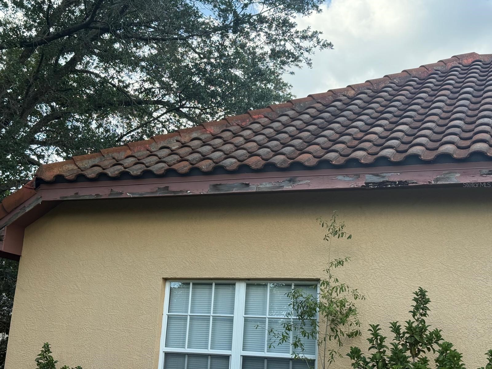 7608 San Remo Place Orlando FL 32835 O6416813 image10