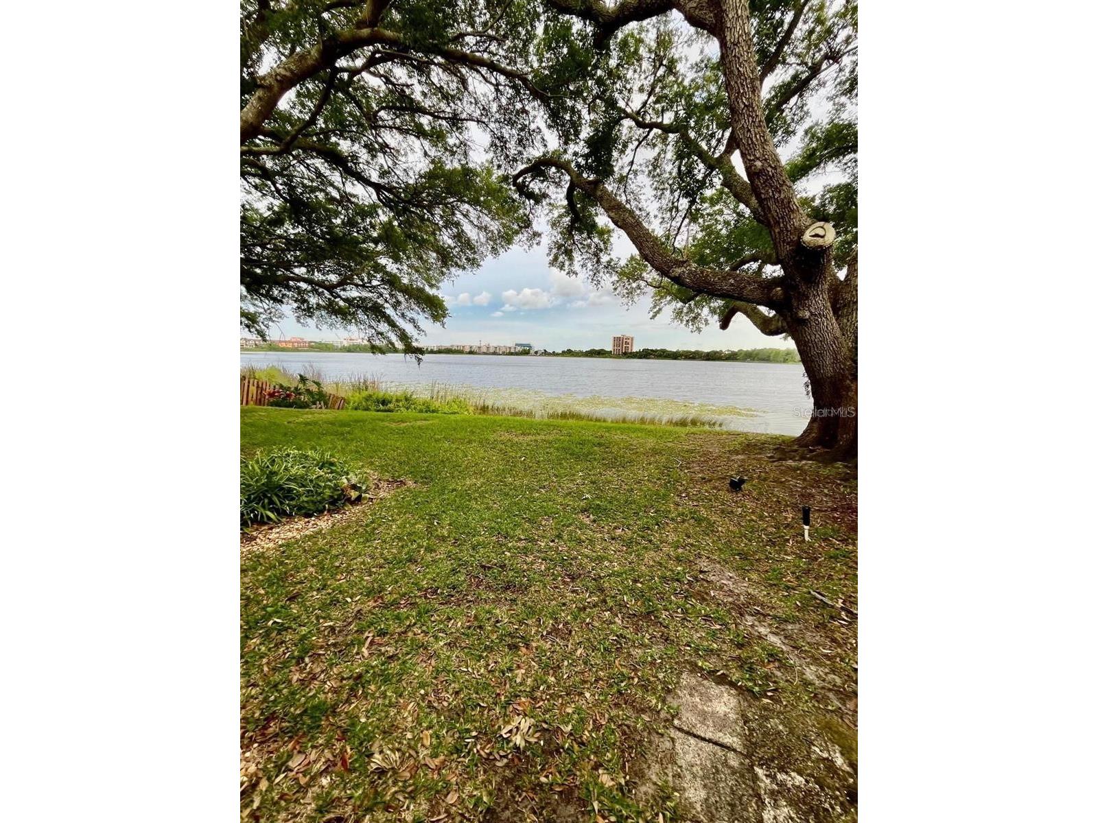 7608 Spring Bay Cove #S Orlando FL 32819 O6406816 image20