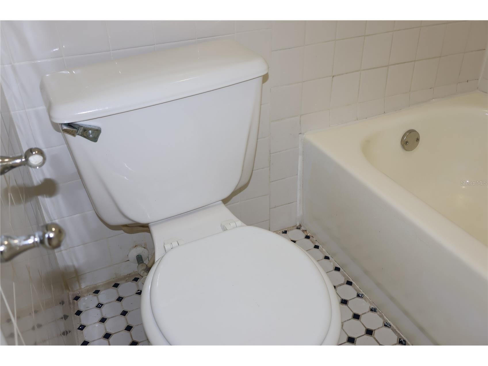 7609 Abbey Lane #B Tampa FL 33617 TB8501701 image20