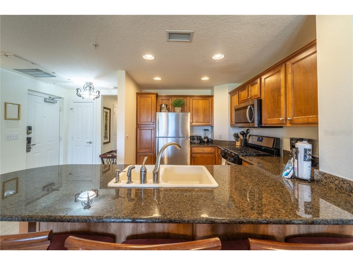 7609 Heritage Crossing Way #201 Reunion FL 34747 O6275580 image13