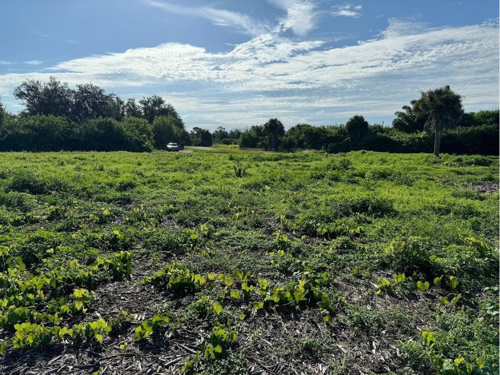 7609 Rubin Court Port Charlotte FL 33981 C7496060 image6