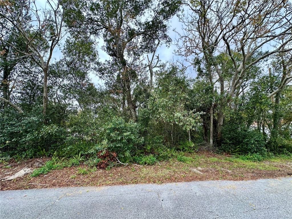 761 Arlene Drive Deltona FL 32725 O6287162 image1