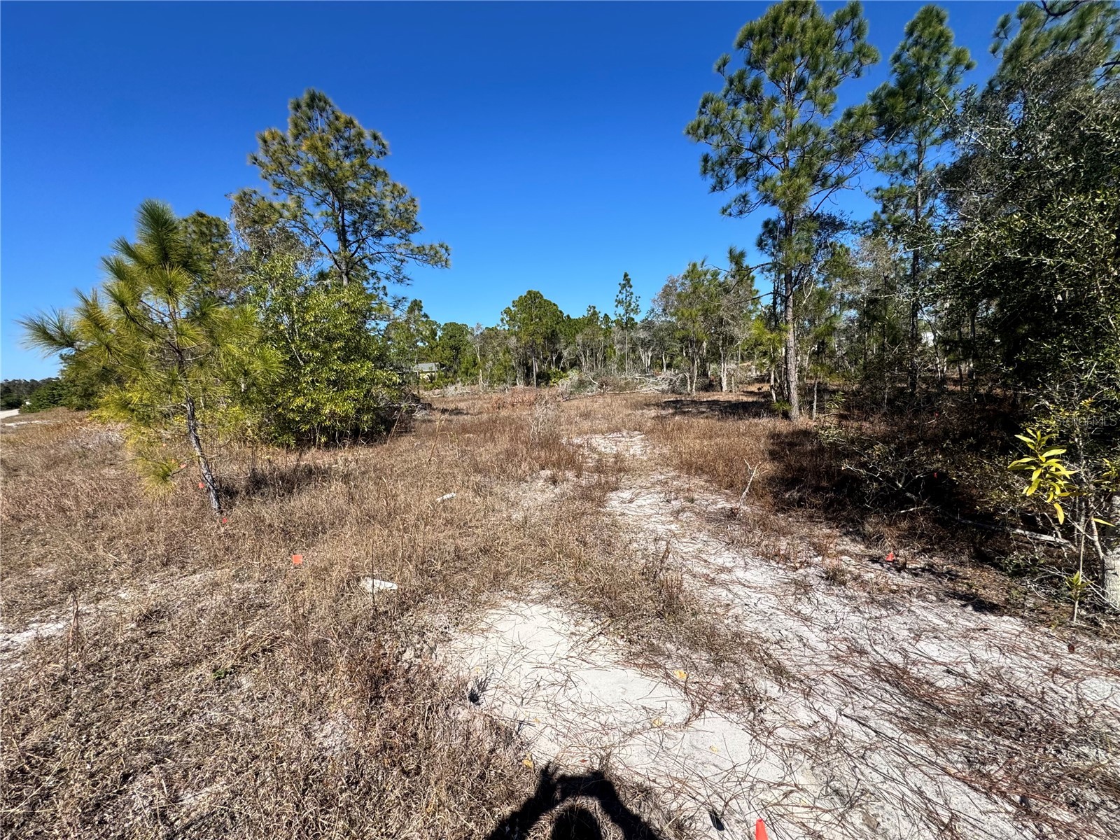 761 Goldrock Road Lehigh Acres FL 33974 S5146315 image4