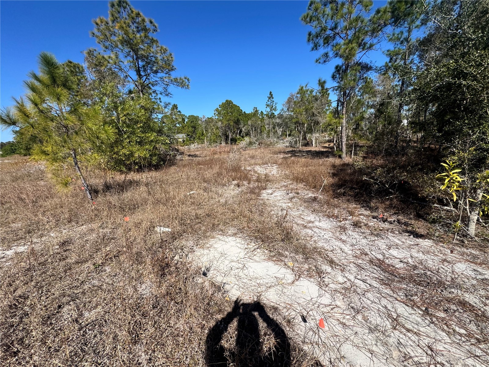 761 Goldrock Road Lehigh Acres FL 33974 S5146315 image5