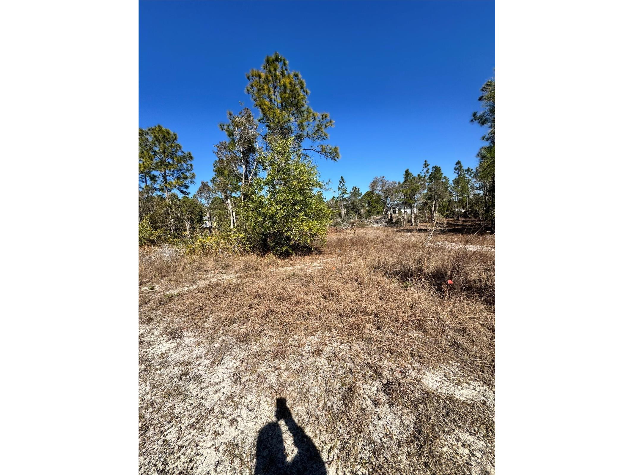 761 Goldrock Road Lehigh Acres FL 33974 S5146315 image6