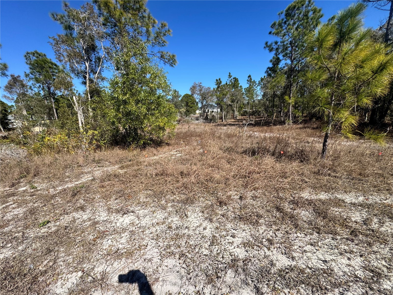 761 Goldrock Road Lehigh Acres FL 33974 S5146315 image7