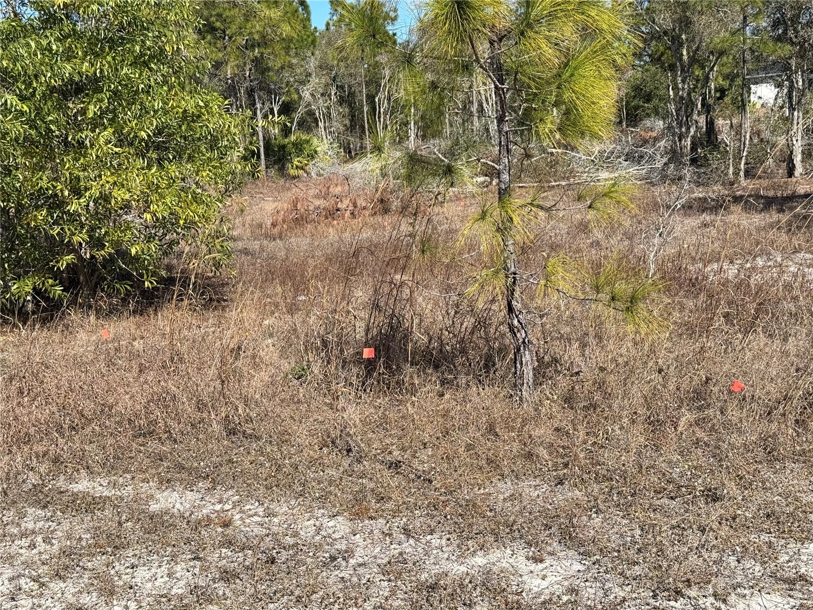 761 Goldrock Road Lehigh Acres FL 33974 S5146315 image8