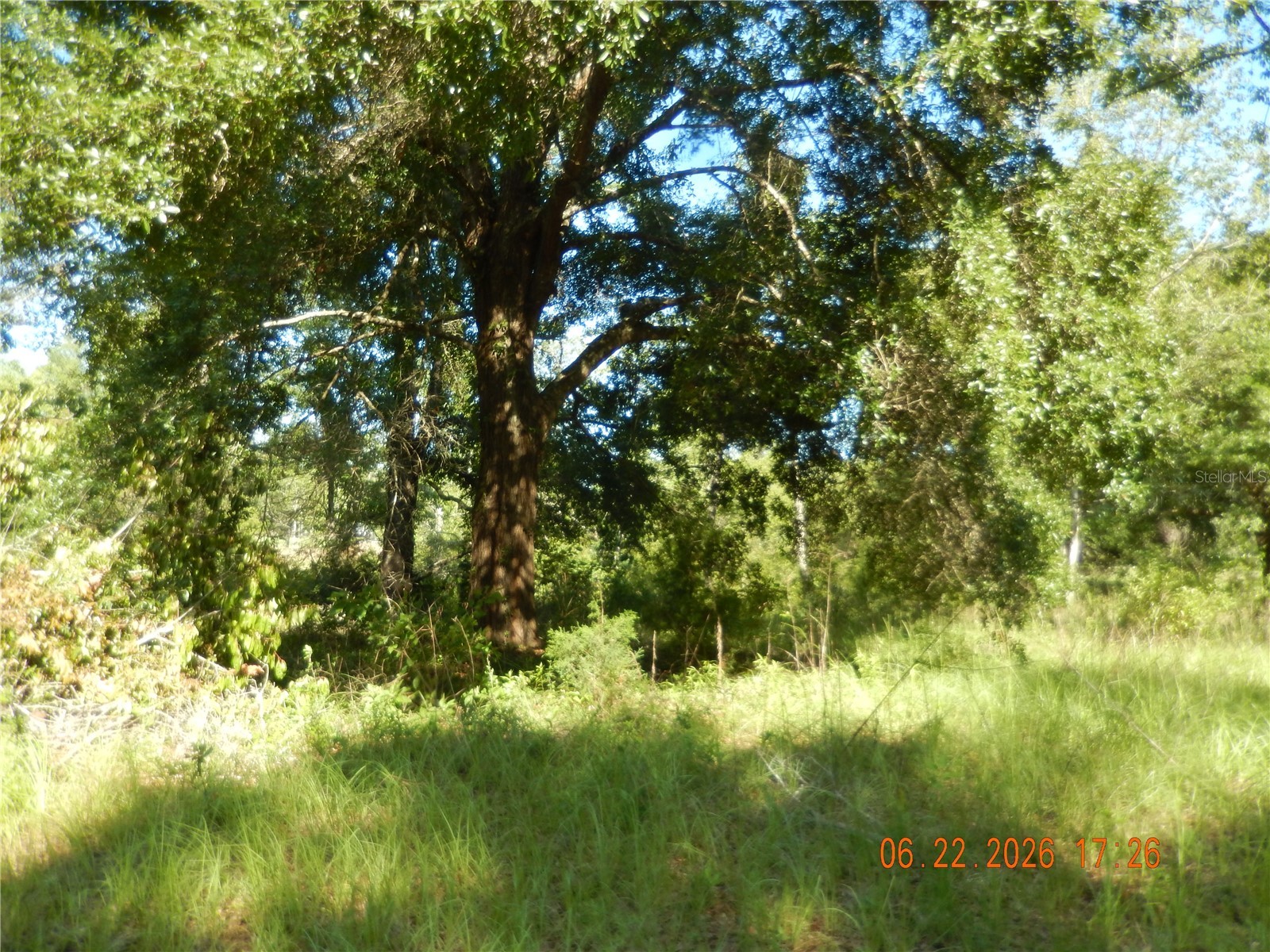 761 SW Sunview Street Fort White FL 32038 GC541421 image3