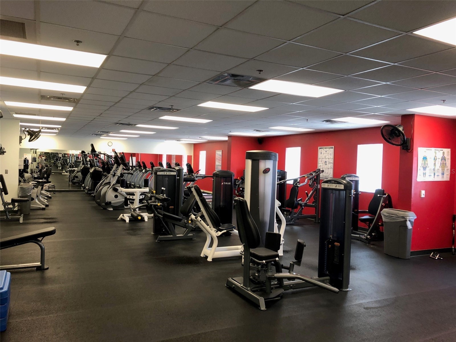 7610 117th Street Seminole FL 33772 TB8506065 image53