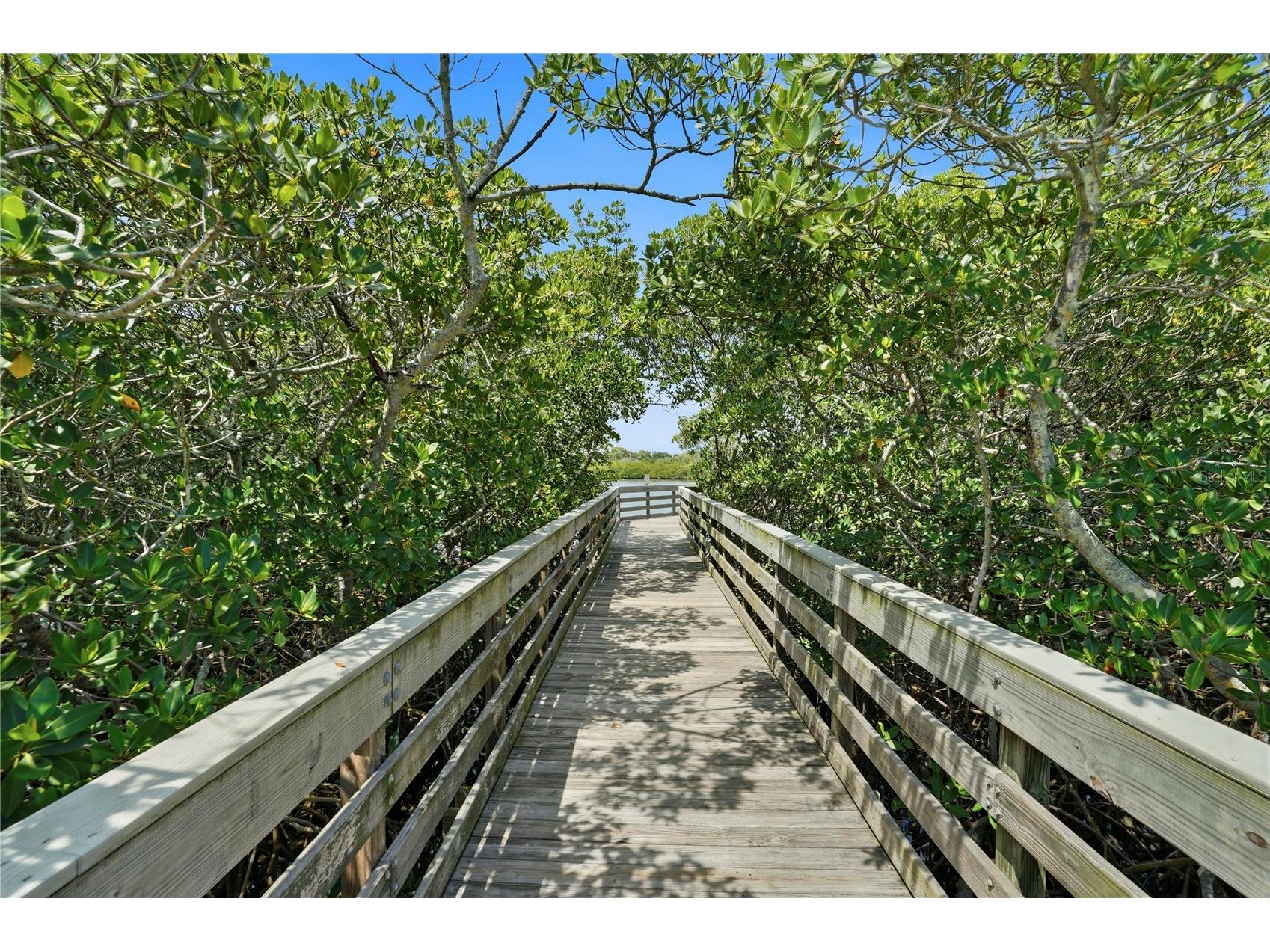 7610 117th Street Seminole FL 33772 TB8506065 image58